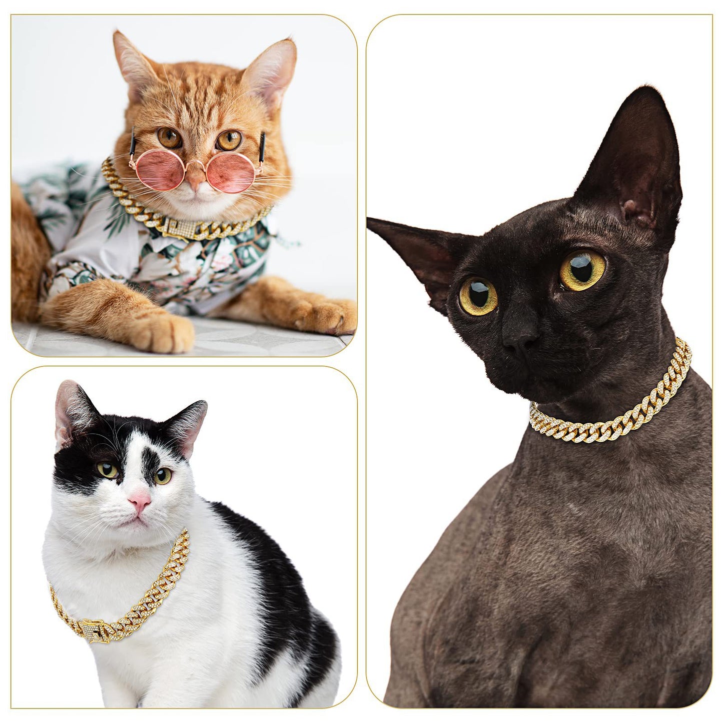 Pet Diamond chain