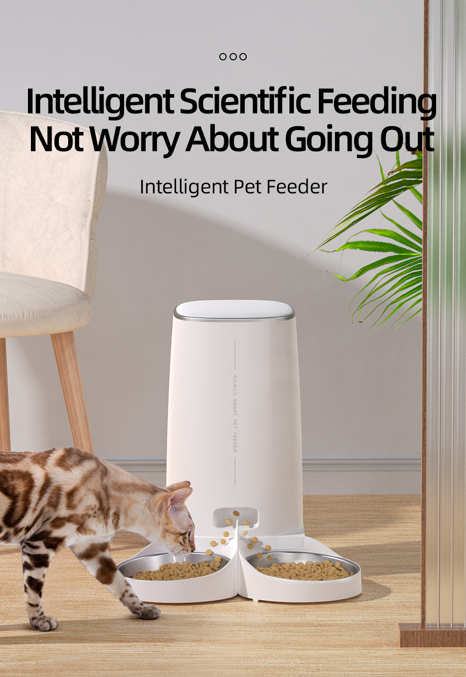 Automatic pets Feeder